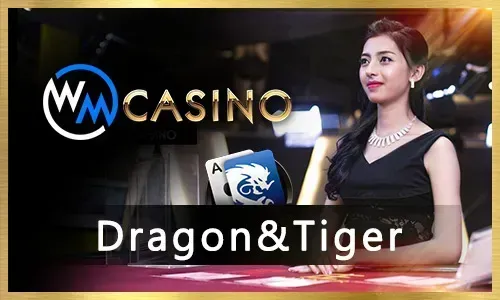 Sports Betting at 888starz Casino